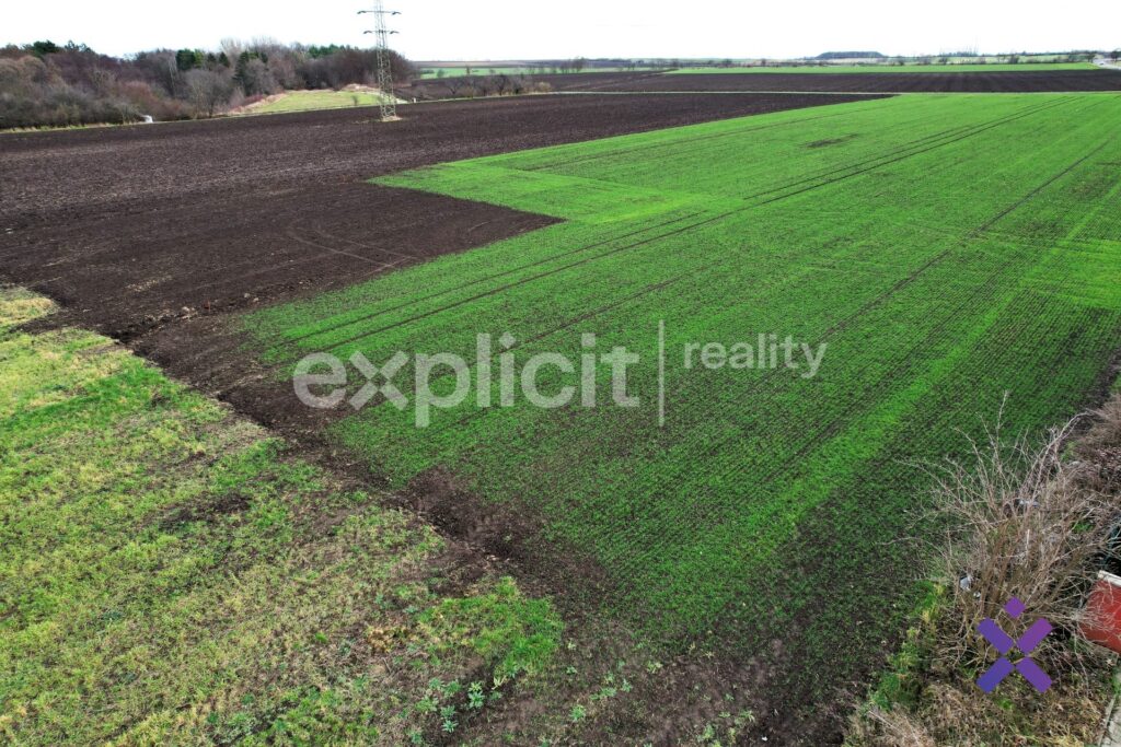 dji_fly_20230114_142112_76_1673703052710_photo.jpeg